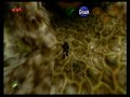 Zelda Ocarina Of Time: vine clip to skip deku tree basement