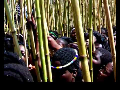 REED DANCE