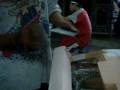 videos de MOV03277