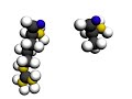 peptide bond peptide bond