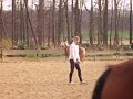 noblesse reiten noblesse reiten