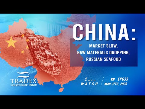 3MMI - China Update: Market Slow, Raw Materials Dropping, Russian Seafood Predictions