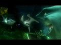 STUDIO DOBLAJE - Buscando a Nemo (Escena de los Tiburones) HD