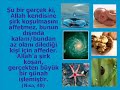 Kuran ve Ruh�uluk