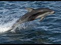 Beautiful still clip of nature with Allahu naat . Nasheed urdu arabic