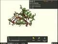 Expert Foldit Protein Folder: JSnyder