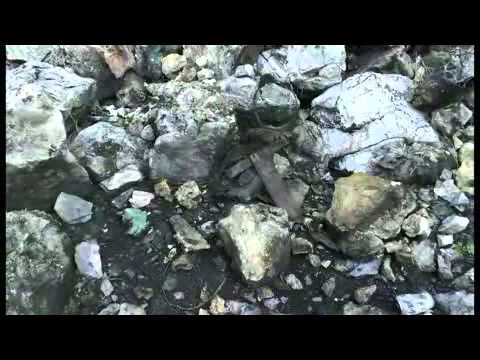 Imagen de previsualización de YouTube