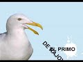 ¿qué piensas de los ecologistas?