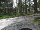 Loaded Challenge 1\"Nose Manual 3 Spaces\"