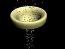 Particle Vortex