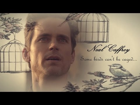 Neal Caffrey || Some birds can't be caged.