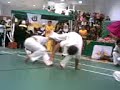 Capoeira at Sulaman Emas