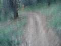 Egaleo Mount MTB (Path1)