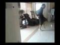 house shuffle