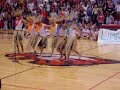 maccats-hawain.html