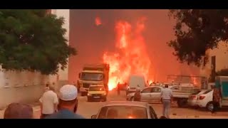 الحرائق "تلهب" الشرق الجزائري.. و26 وفاة في الطارف وسطيف مؤقتا