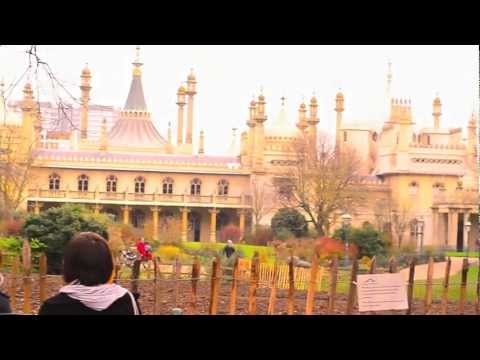 Video van Kipps Brighton
