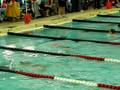 videos de Madison Swims the Breaststroke