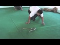Snake farm