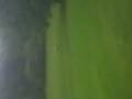 videos de man in woods