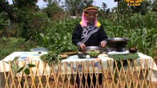 布農族的古老純素料理：樹豆湯與野菜湯（布農族語）