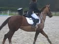 Rebro ridingclub duisburg Rebro ridingclub duisburg
