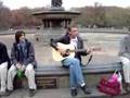 acoustic beatles centeral park