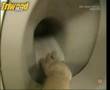 How Toilets Are Made