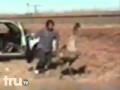 Dude Fights Giant Bird... Hilarity Ensues.