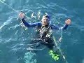 coral-reef-tranquilizer.html