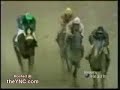 horse race accident