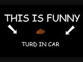 There is a Turd in my Car