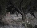 Eden Whitetail Hunt Eden Whitetail Hunt