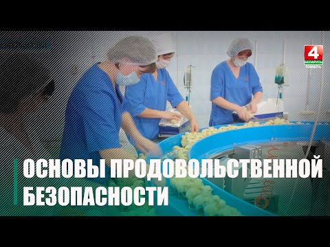 В сохранении продовольственной безопасности Беларуси особую роль играют хозяйства замкнутого цикла видео