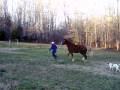 videos de Picture 072