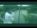 Tropiezo - Tiburones Informaticos Discos de Hoy