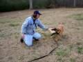 videos de duce1