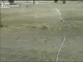 Bunny Hopping