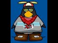 New Profile Picture