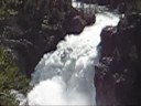 Best Of Yellowstone 2008 Pt. 2