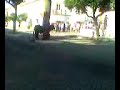 Assumar - Largada