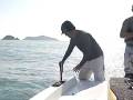Wakeskate