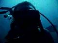 Diving the Homestead