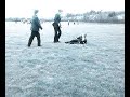 fiblo fight fiblo fight
