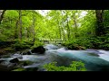 Nature Sound 14 - THE MOST RELAXING SOUNDS -