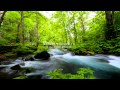 Nature Sound 14 - THE MOST RELAXING SOUNDS -