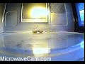 MicrowaveCam.com - Microwave Grape Fireballs! (slow motion) MicrowaveCam.com - Microwave Grape Fireballs! (slow motion)
