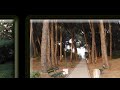 La Serra - Baia Domizia - Vivo Per Lei La Serra - Baia Domizia - Vivo Per Lei