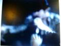 Christina 2008.MOV