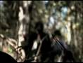 Weaponology-snipers